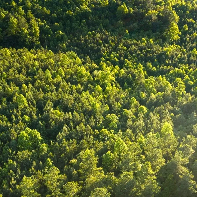 Klimaschutzleistungen