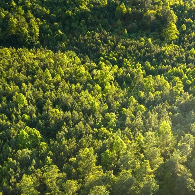 Klimaschutzleistungen